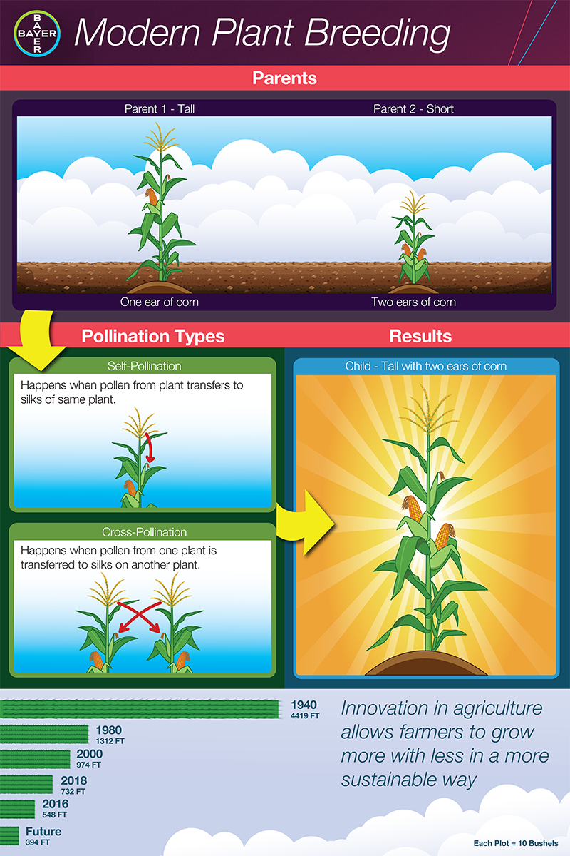 Bayer Modern Breeding